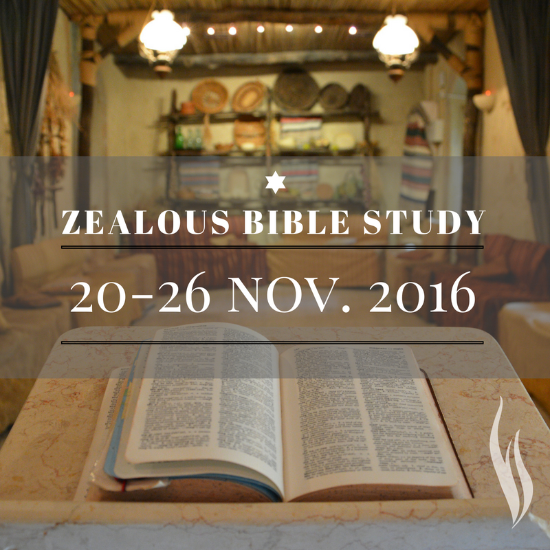 zealous-bible-study-no-8